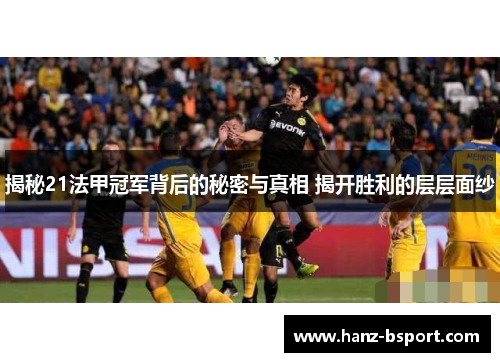 揭秘21法甲冠军背后的秘密与真相 揭开胜利的层层面纱