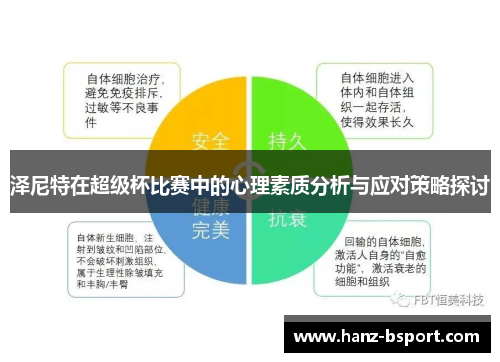 泽尼特在超级杯比赛中的心理素质分析与应对策略探讨
