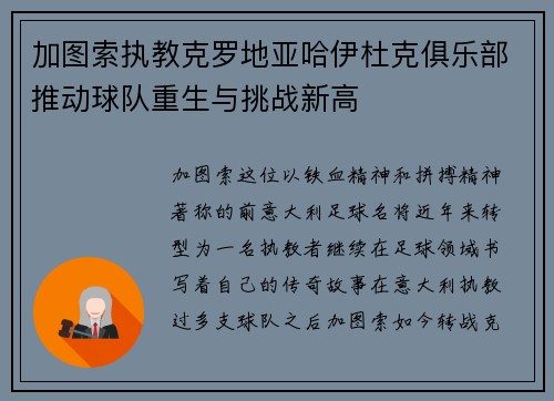 加图索执教克罗地亚哈伊杜克俱乐部推动球队重生与挑战新高 加图索执教克罗地亚哈伊杜克俱乐部推动球队重生与挑战新高