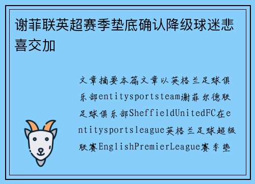 谢菲联英超赛季垫底确认降级球迷悲喜交加 谢菲联英超赛季垫底确认降级球迷悲喜交加